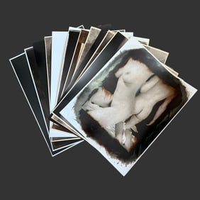 Lot of 12 Robert Asman (Modern) Nude Silver Prints