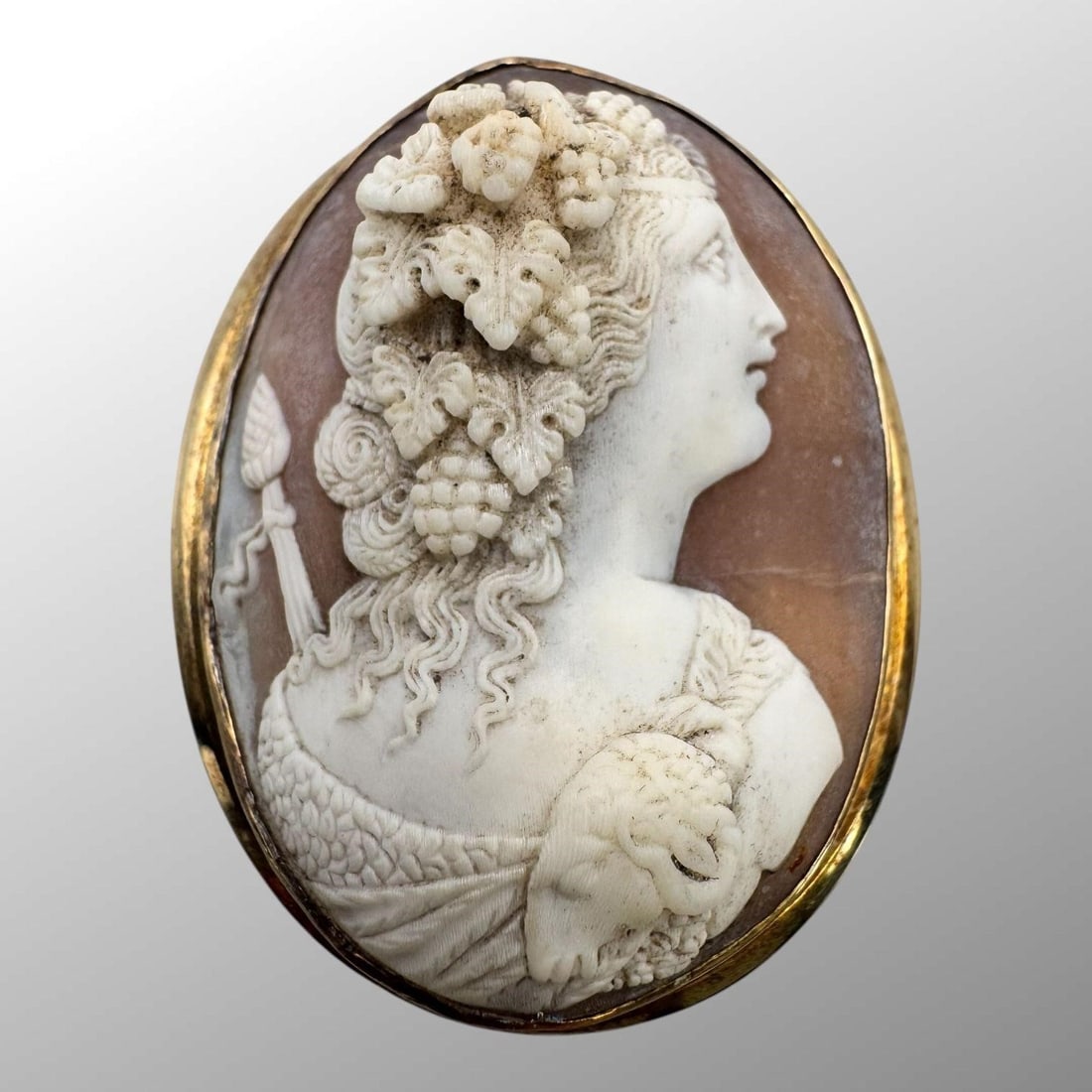 14K Yellow Gold Shell Cameo Brooch/Pin (1 of 5)