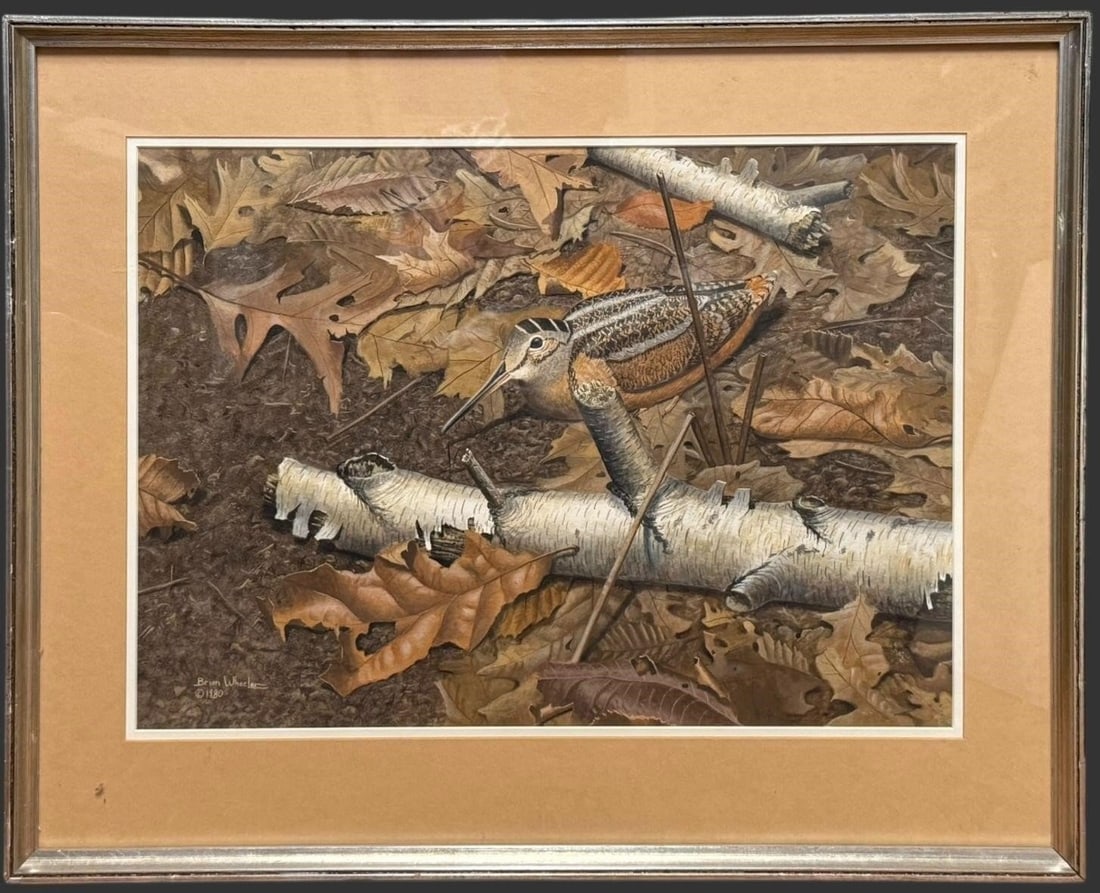 Brian Wheeler (American, 20th c.) Bird Painting: Original wildlife painting by Brian Wheeler, signed and dated 1980 at the lower left, depicting a woodcock camouflaged among fallen autumn leaves and birch branches, rendered with strong naturalistic