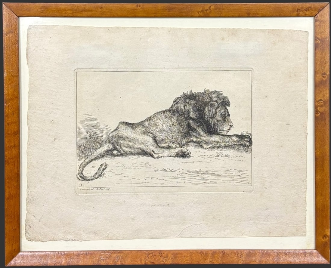 After Rembrandt 18th Century Recumbent Lion Engraving by B. Picart (1 of 3)