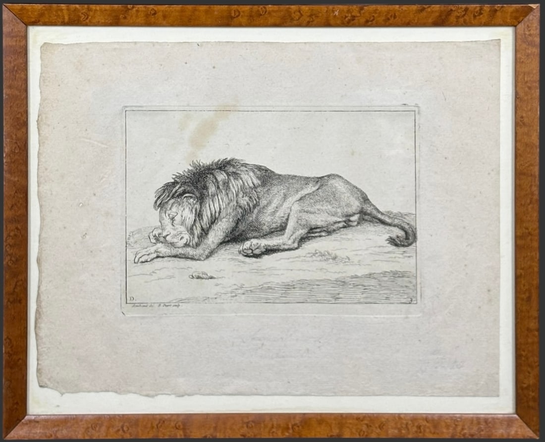 After Rembrandt 18th Century Recumbent Lion Engraving by B. Picart (1 of 4)