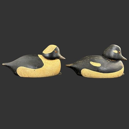 Pair of James Van Brunt Bufflehead Decoys Setauket, Long Island. NY (1 of 7)