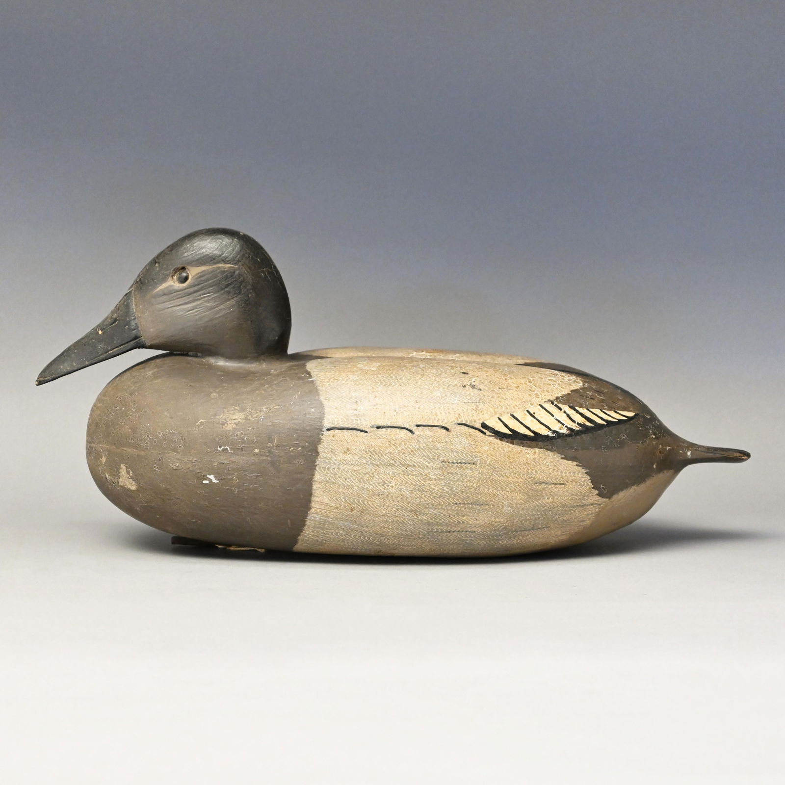 Canvasback Duck Decoy, John Baker, Bristol, PA (1 of 5)