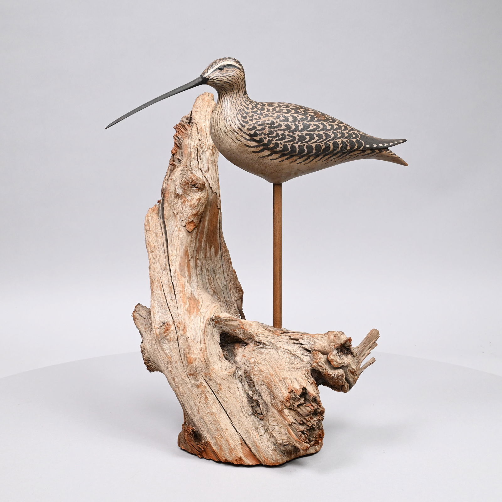 Carved and Painted Curlew Shorebird, Lou Reineri (1 of 5)