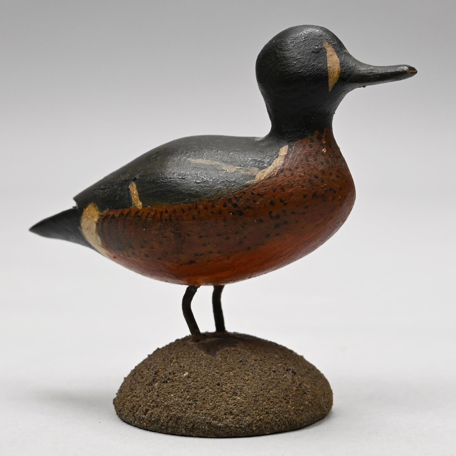 Ralph D. Laurie - Miniature Blue-Winged Teal (1 of 9)