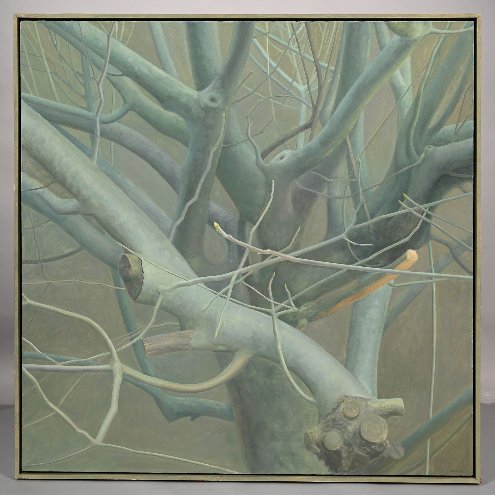 Edward Rice - Live Oak Tree (1 of 6)