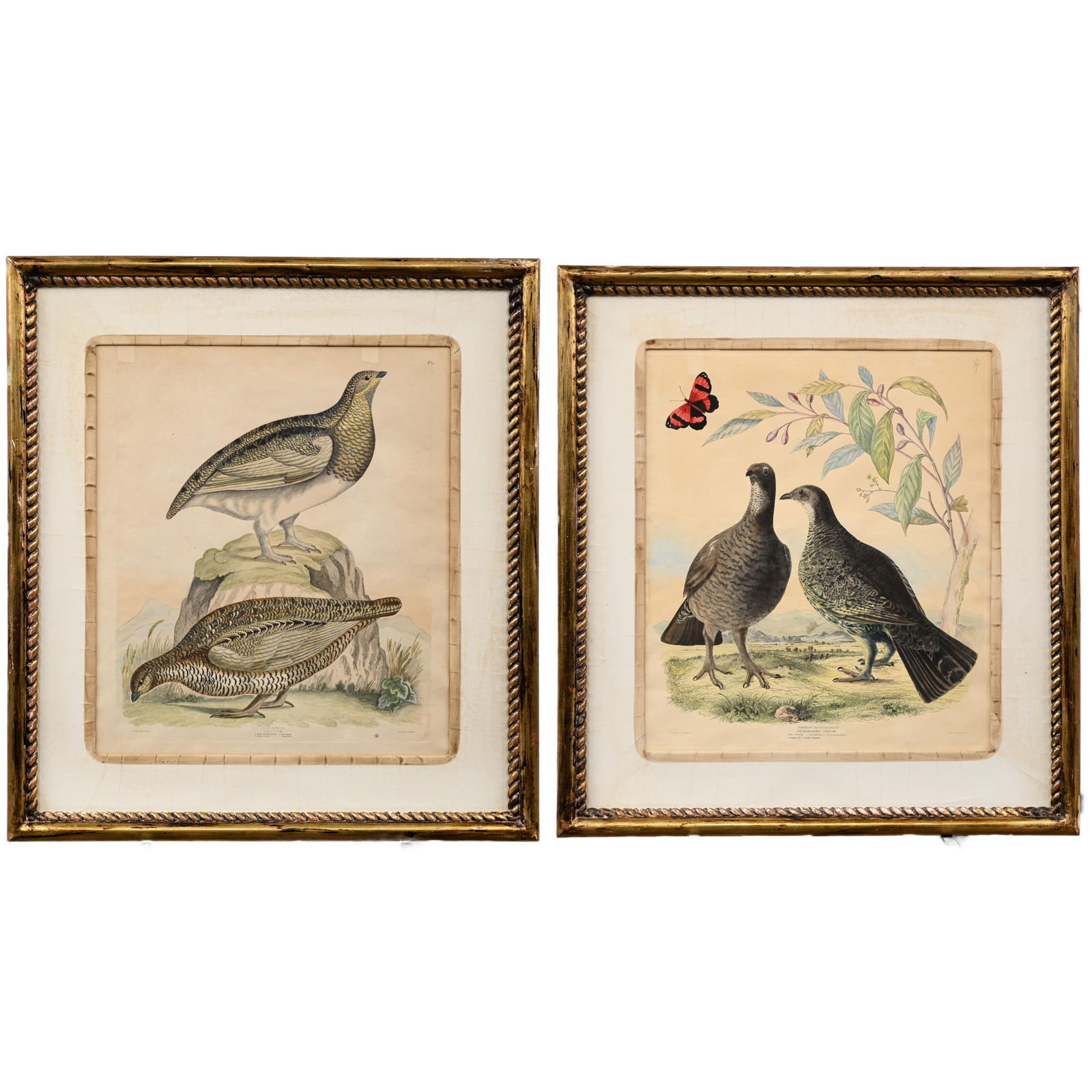 Captain Thomas Brown - Two Hand-Colored Engravings (1 of 9)