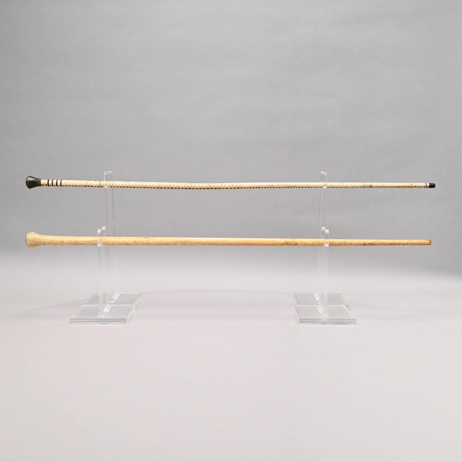 Shark Vertebrae Walking Stick & Whalebone Stick (1 of 5)