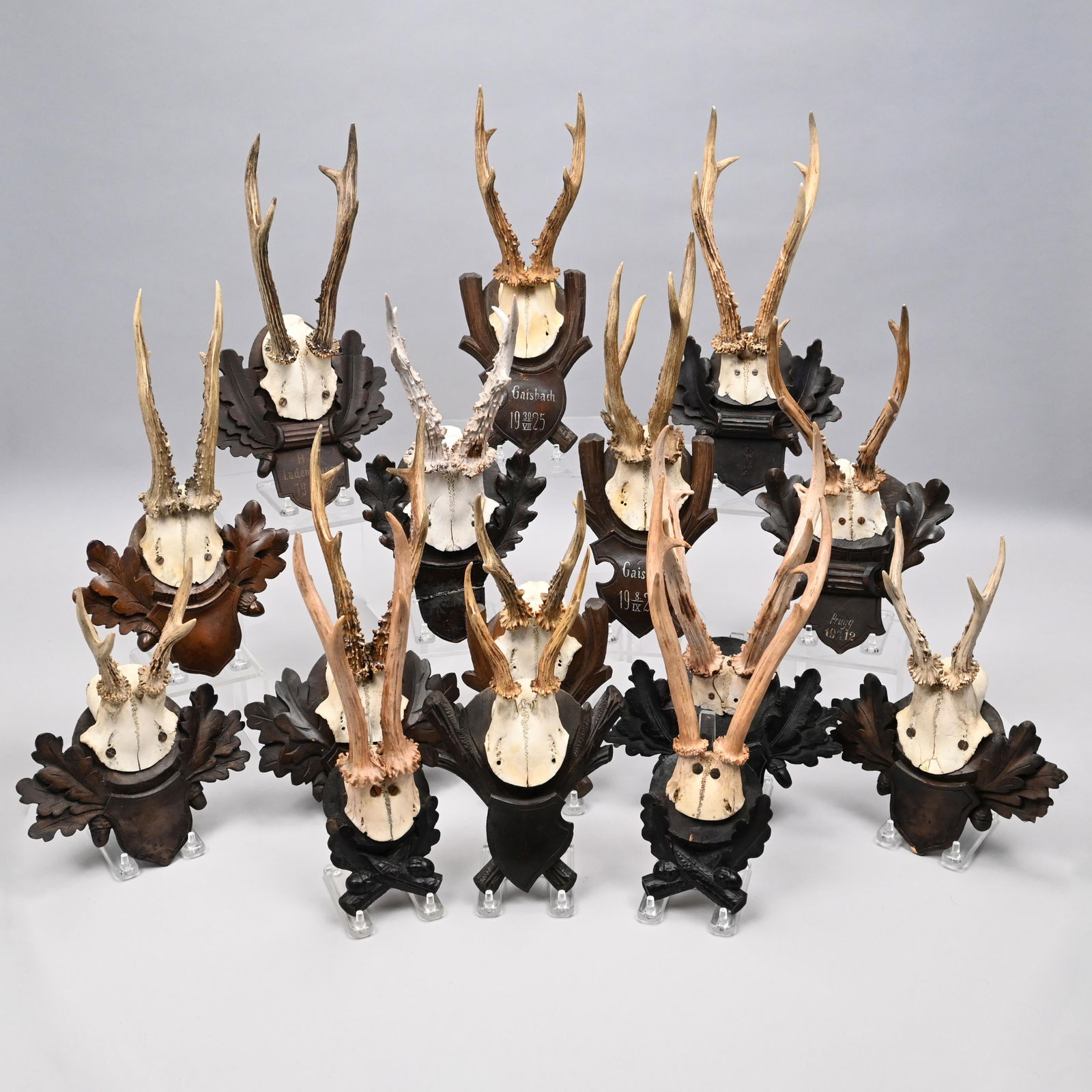 Fifteen Pairs of Antlers Mounted on Plaques (1 of 8)