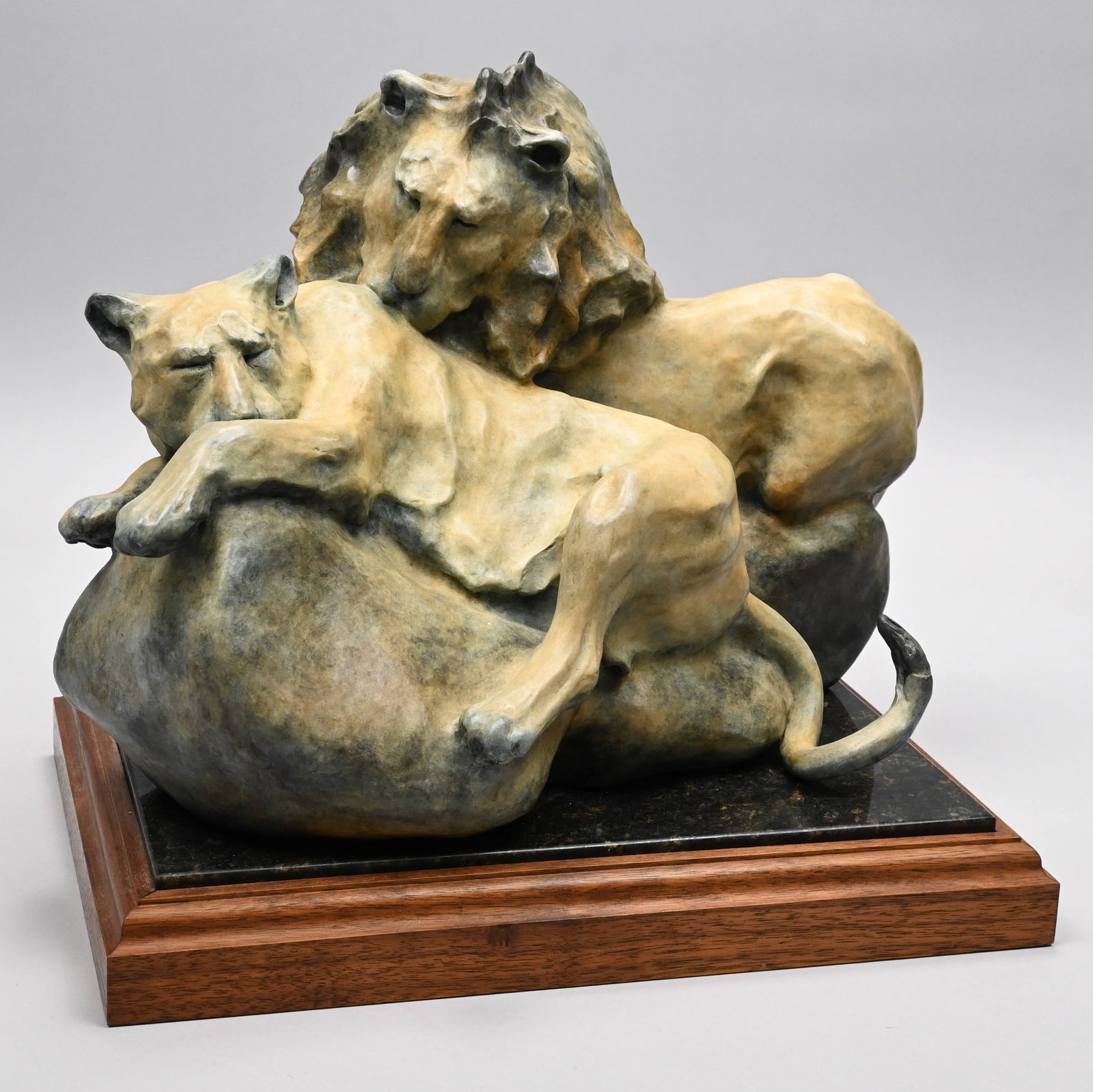 Sherry S. Sander - "Great Lion Wilderness," 1986 (1 of 7)