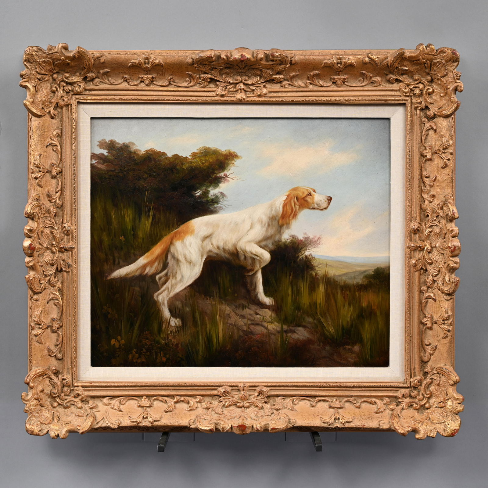 Jim Huff - Portrait of an English Setter (1 of 3)