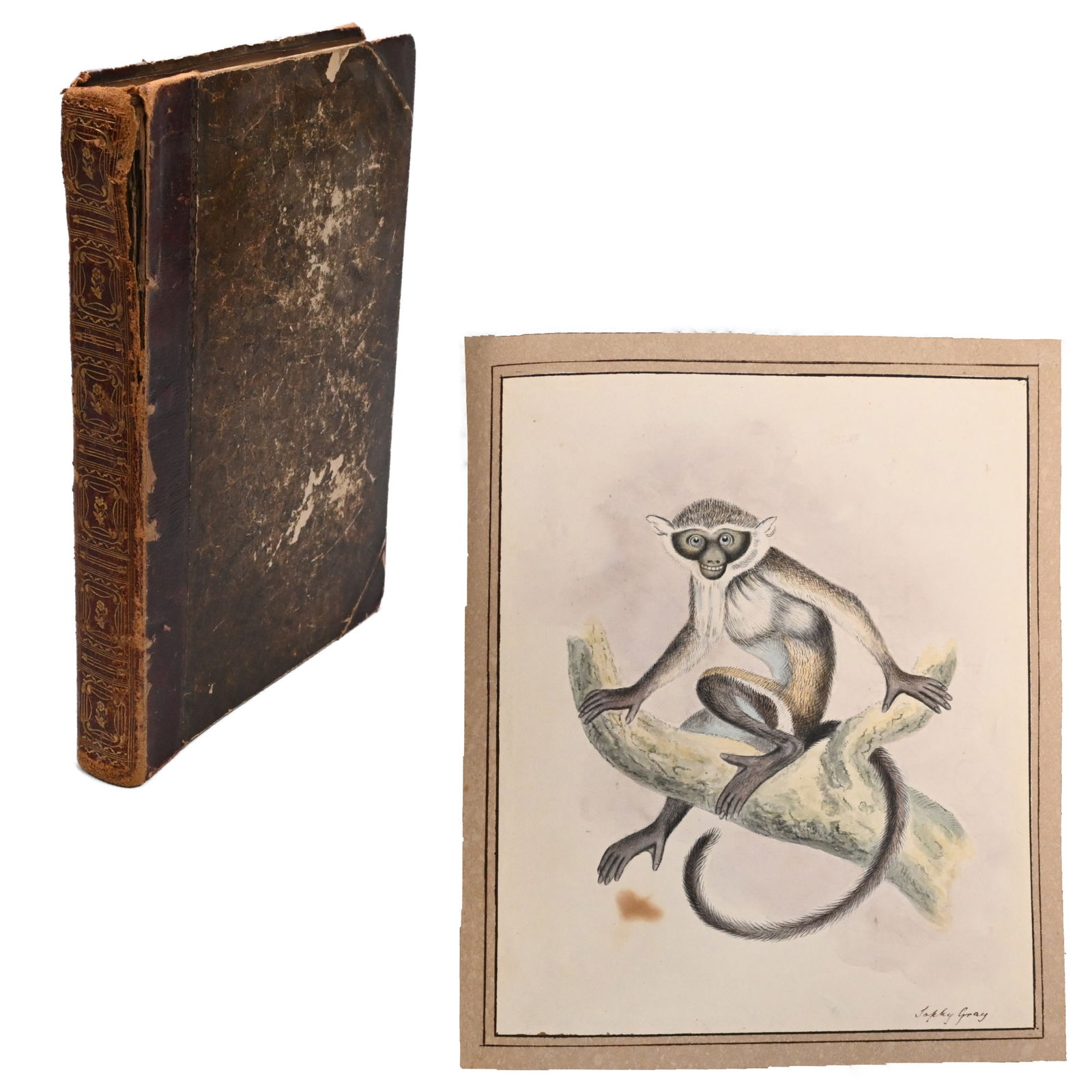 British Album of Watercolors, Drawings and Prints (1 of 20)