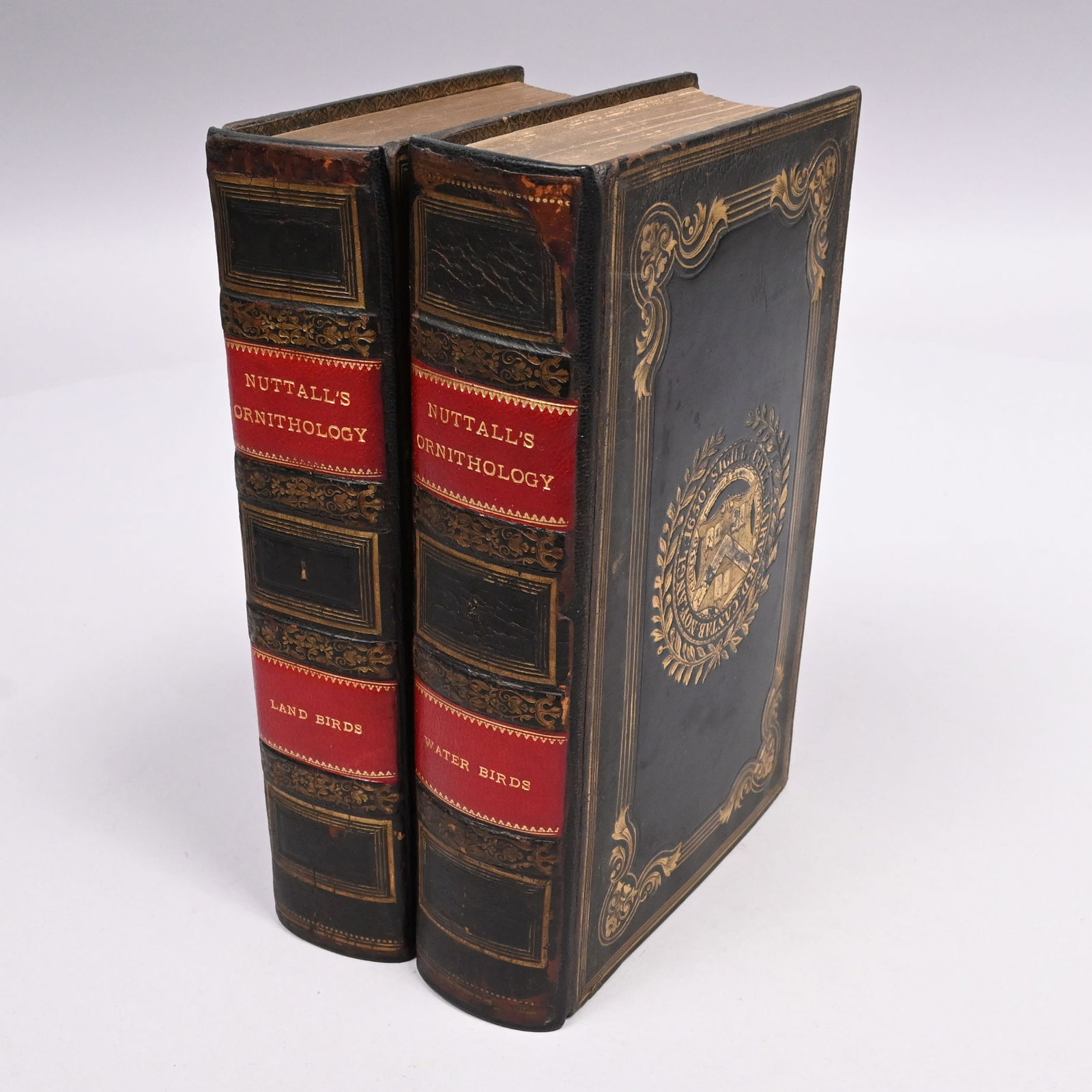 Thomas Nuttall - "Manual of the Ornithology of the (1 of 14)