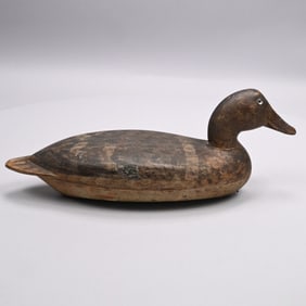 Robert Elliston - Rare Mallard Hen