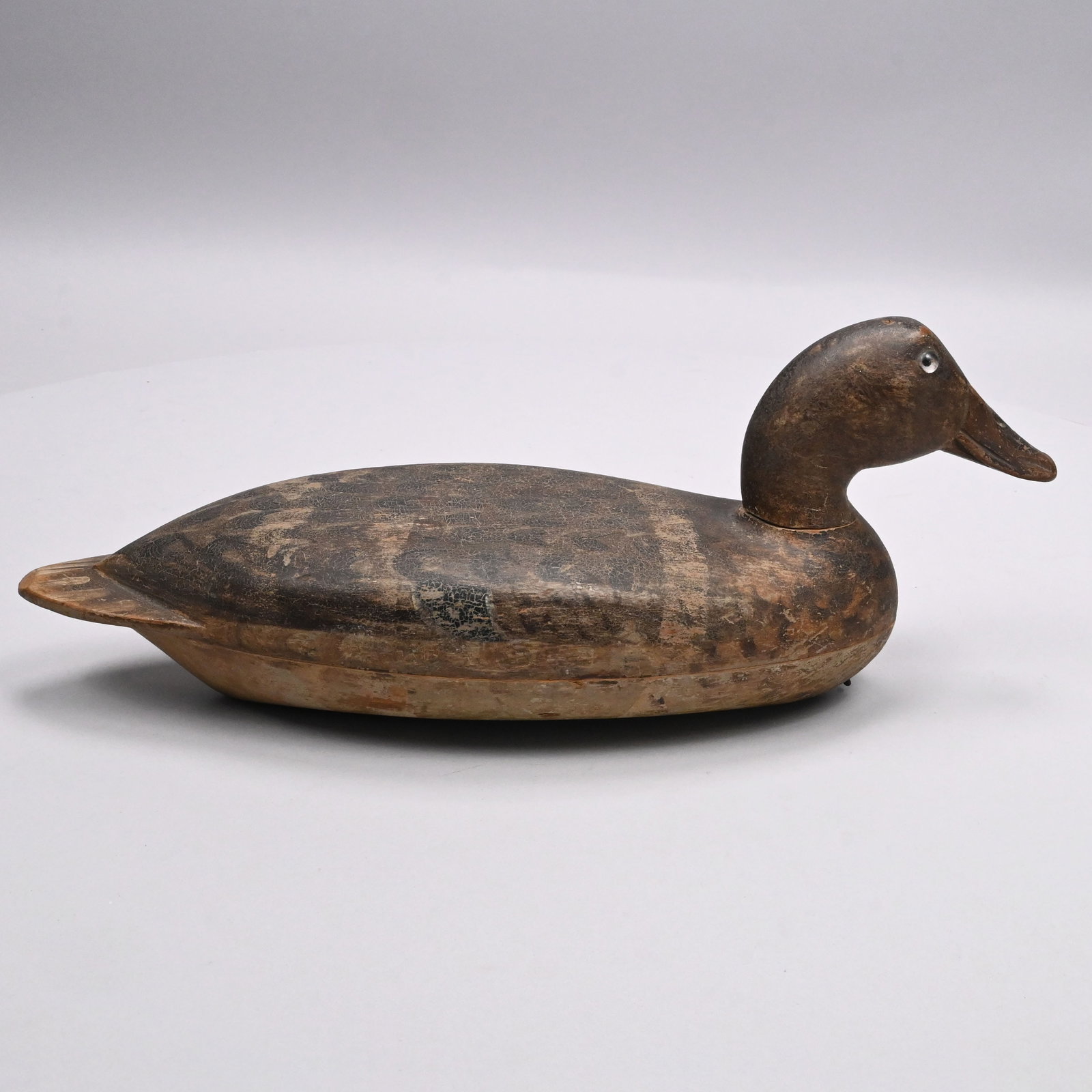 Robert Elliston - Rare Mallard Hen (1 of 6)