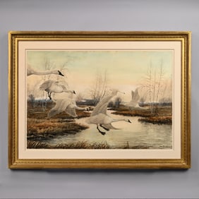 Rex Brasher - Trumpeter Swans
