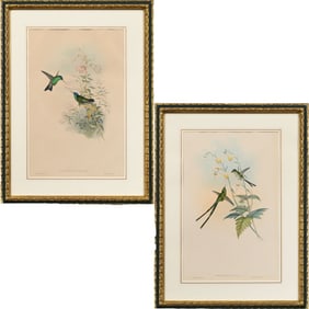 Gould & Richter - Pair Hummingbird Lithographs