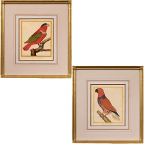 Francois Nicolas Martinet - Two Parrots (Lories)