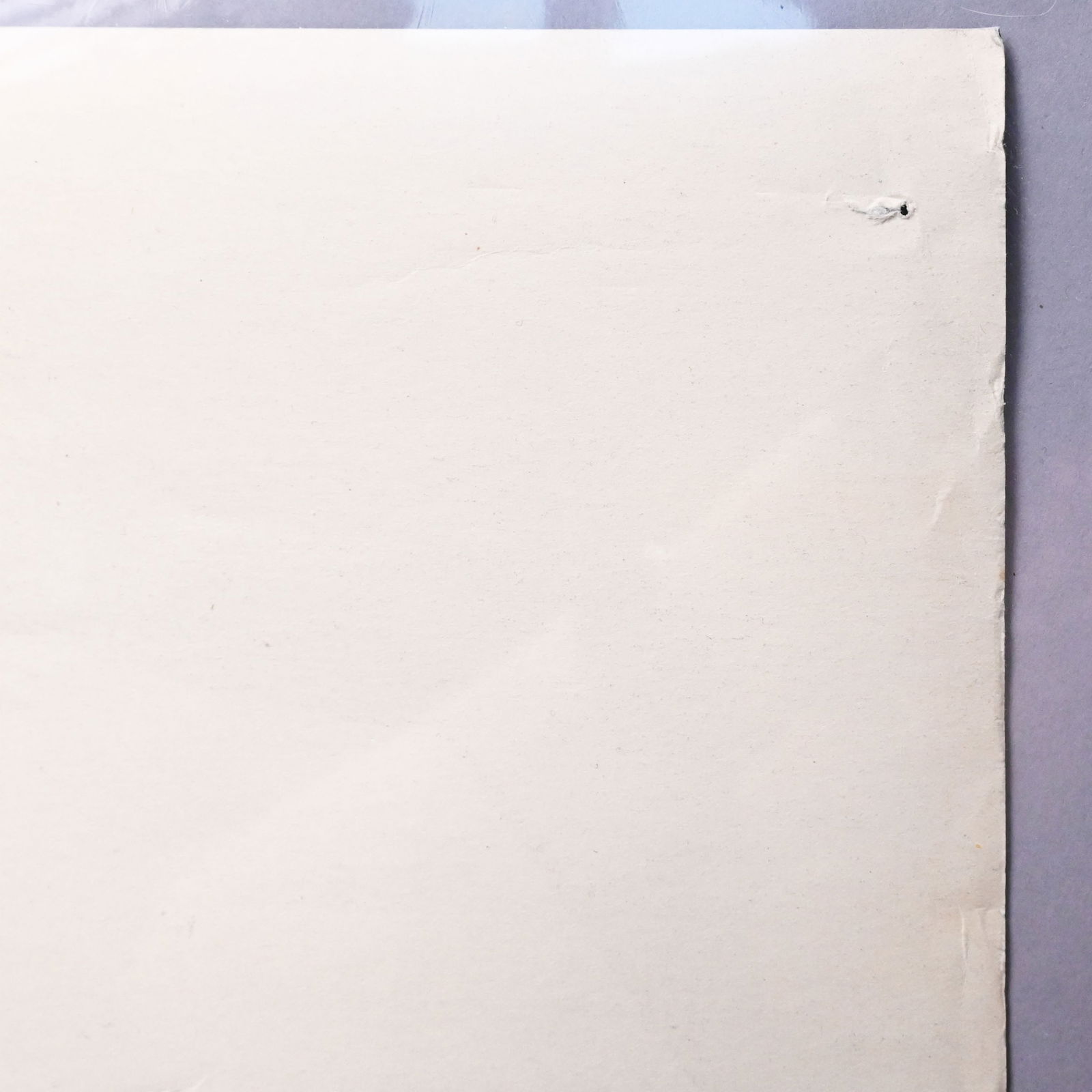 Stanley Samuelson-Dartmouth Winter Carnival Poster - 9