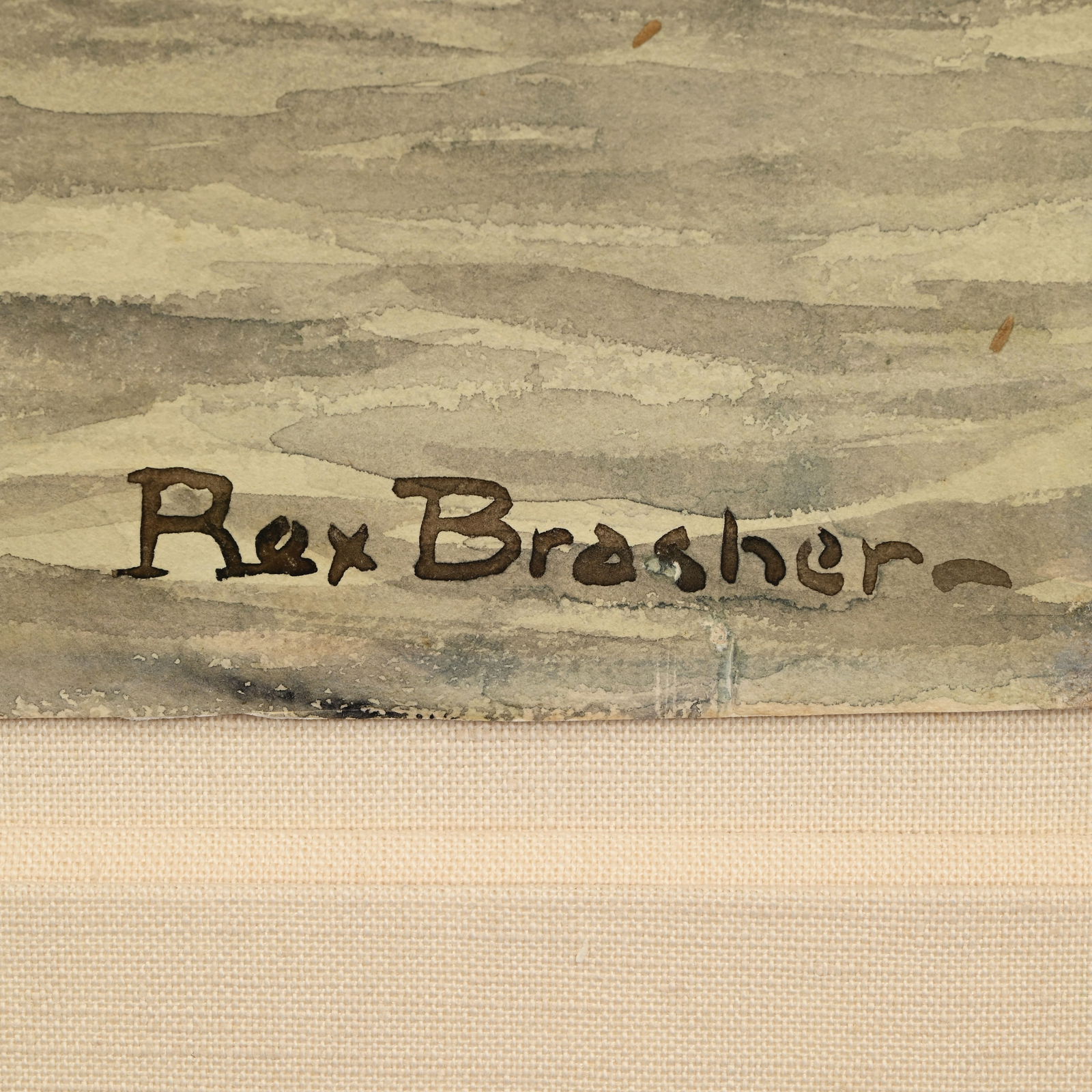 Rex Brasher - Trumpeter Swans - 2