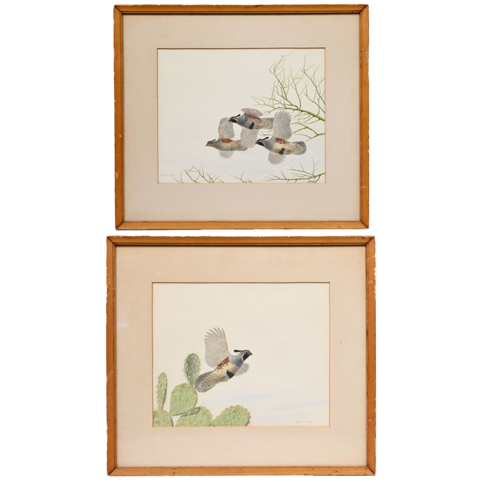 Walter E. Bohl - Pair of Quails in Flight (1 of 7)