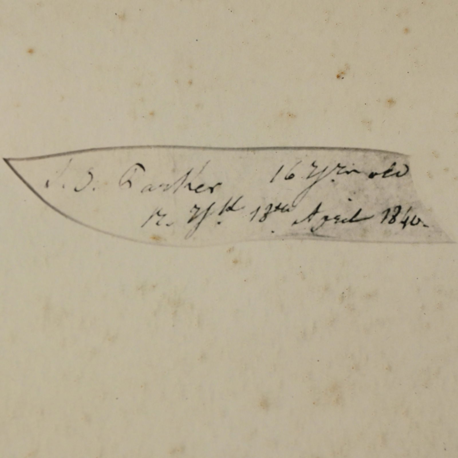 Auguste Edouarte - Three American Silhouettes - 7