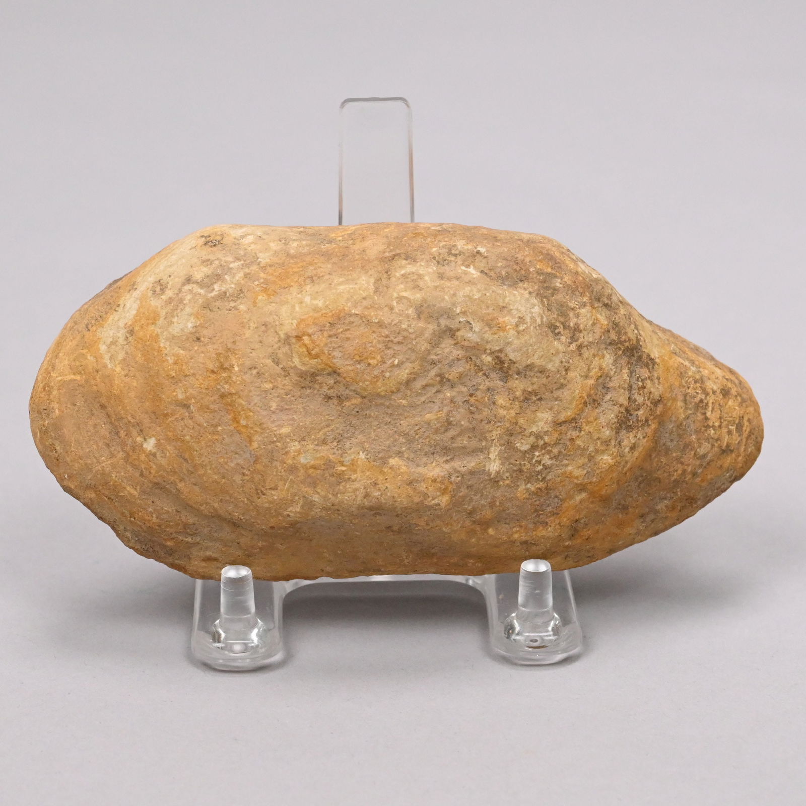 Large Fossil Group and Three Fossils - 9