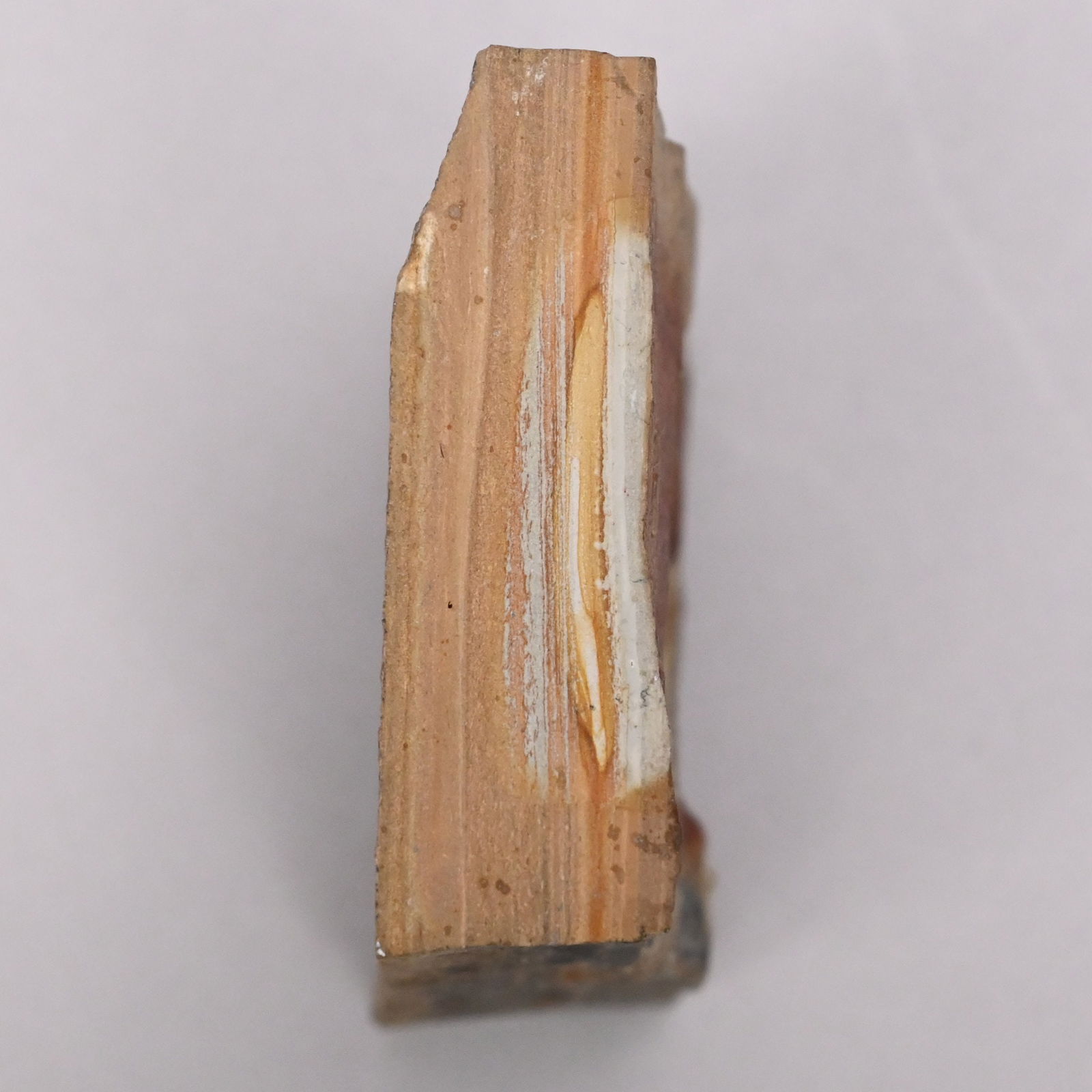 Fish Fossil, Possibly Genus Diplomystus - 3