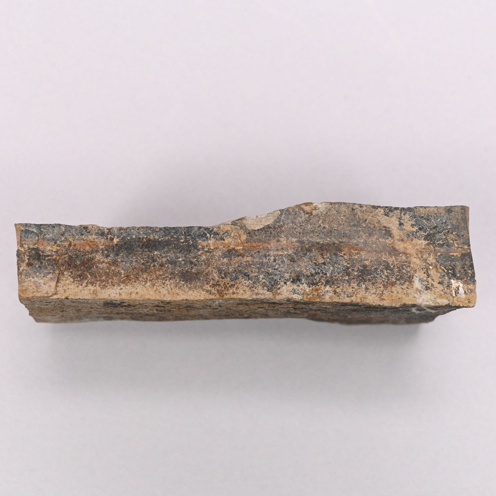 Fish Fossil, Possibly Genus Diplomystus - 6