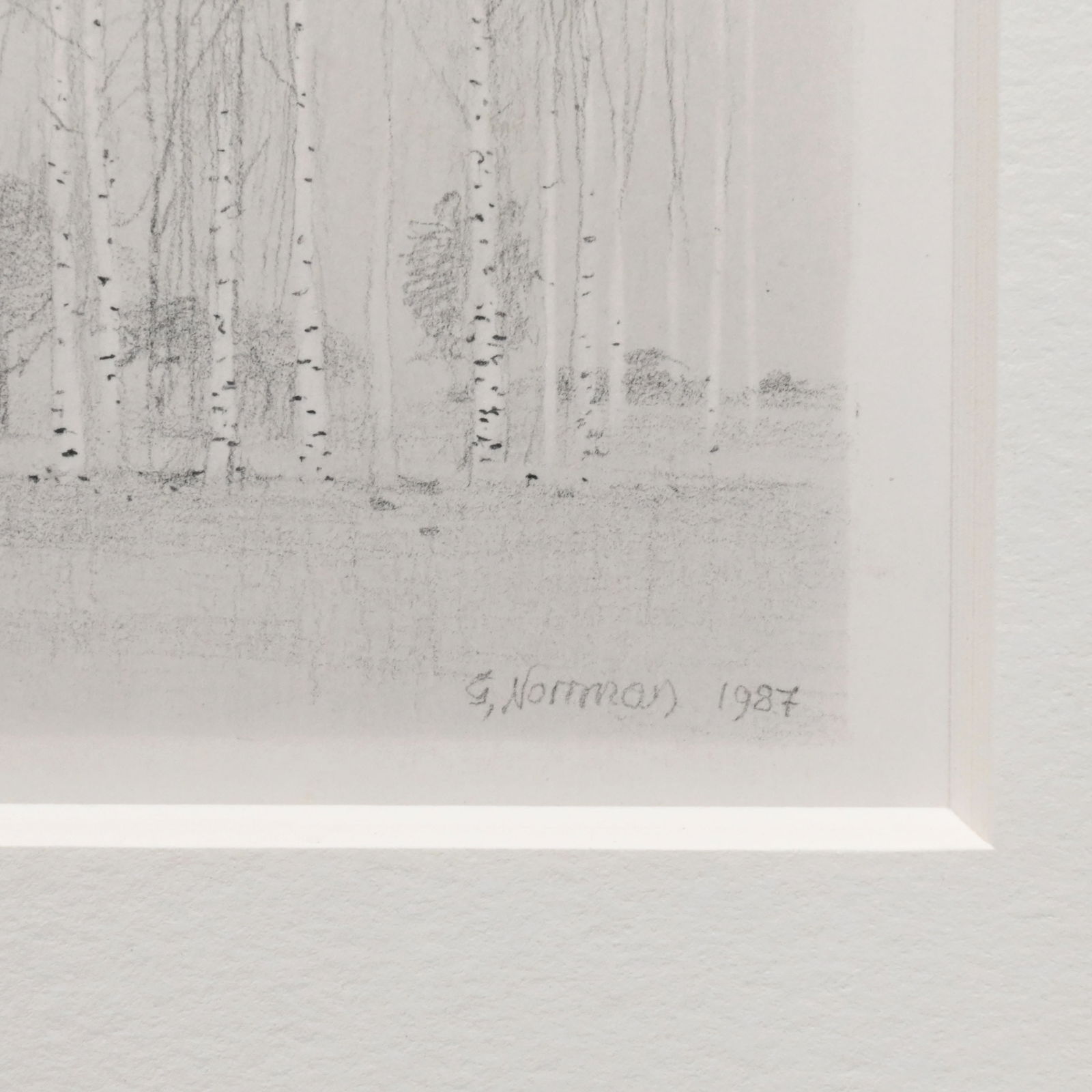 Gunnar Norrman - "Birches," 1987 - 2