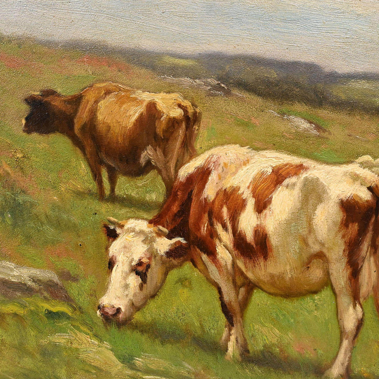 Carleton Wiggins - Guernsey Cows in a Pasture - 2