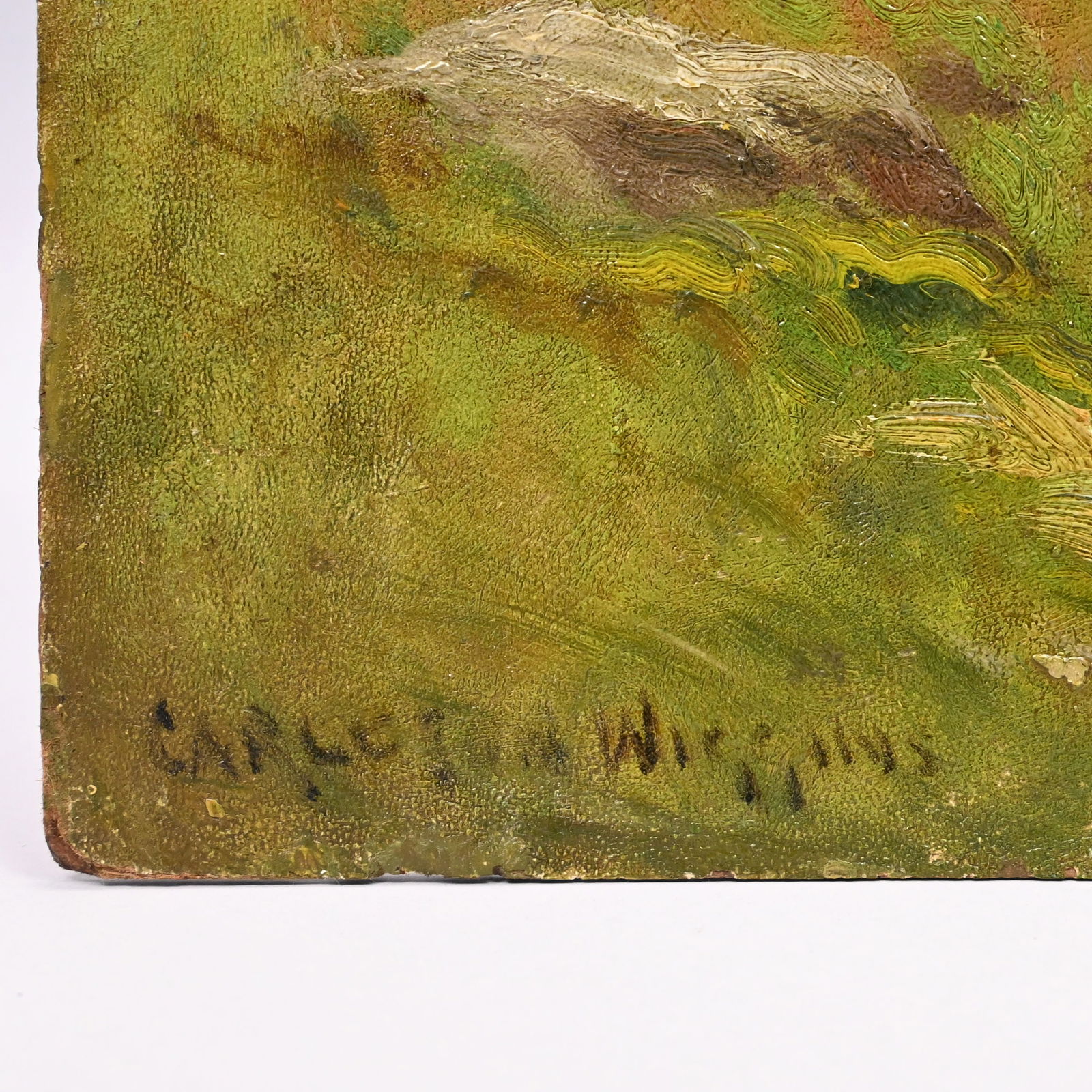 Carleton Wiggins - Guernsey Cows in a Pasture - 3