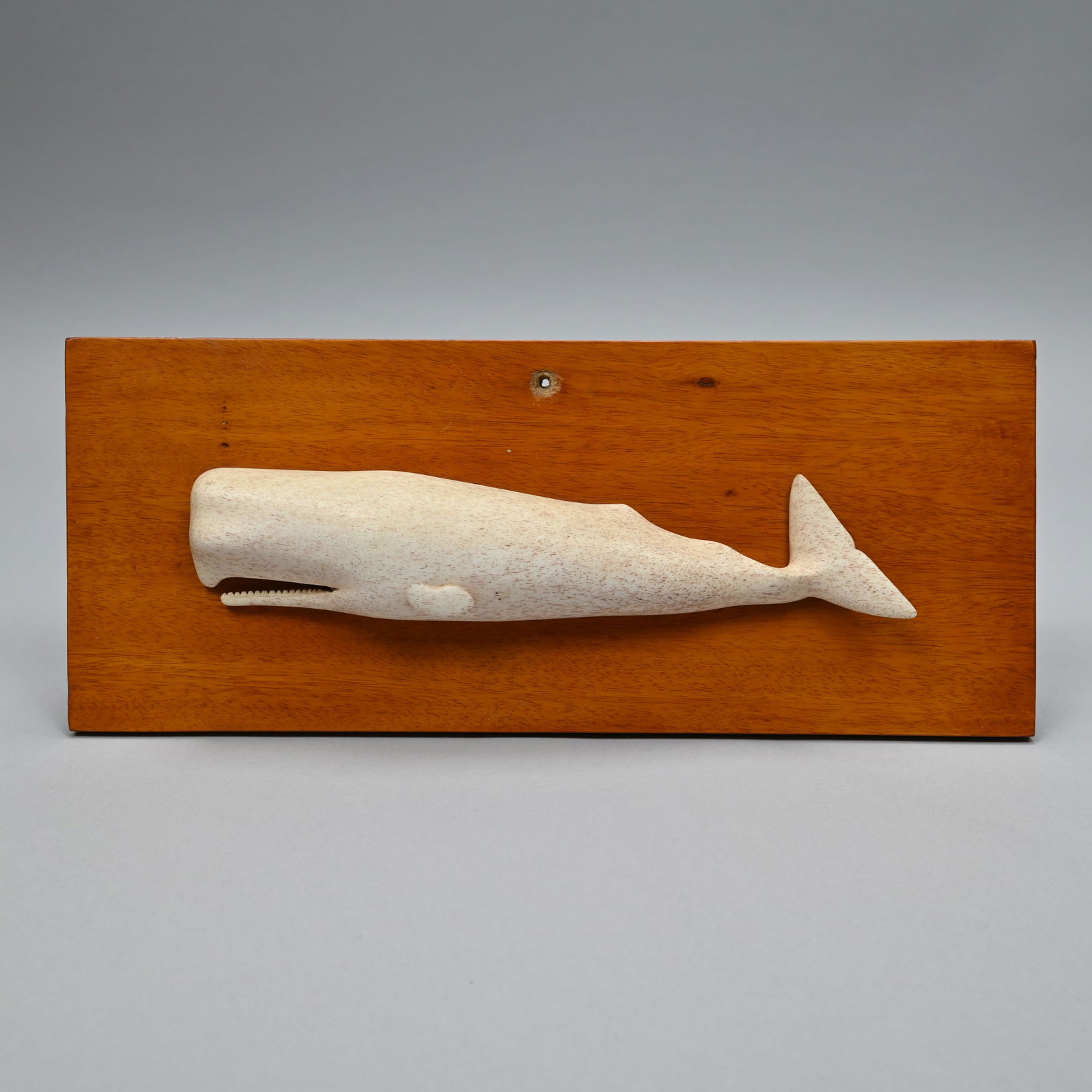 Carved Whalebone Sperm Whale Plaque (1 of 4)
