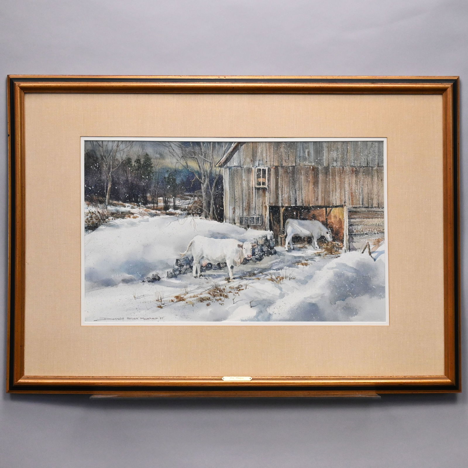 Donald Allen Mosher - New Flurries (1 of 6)