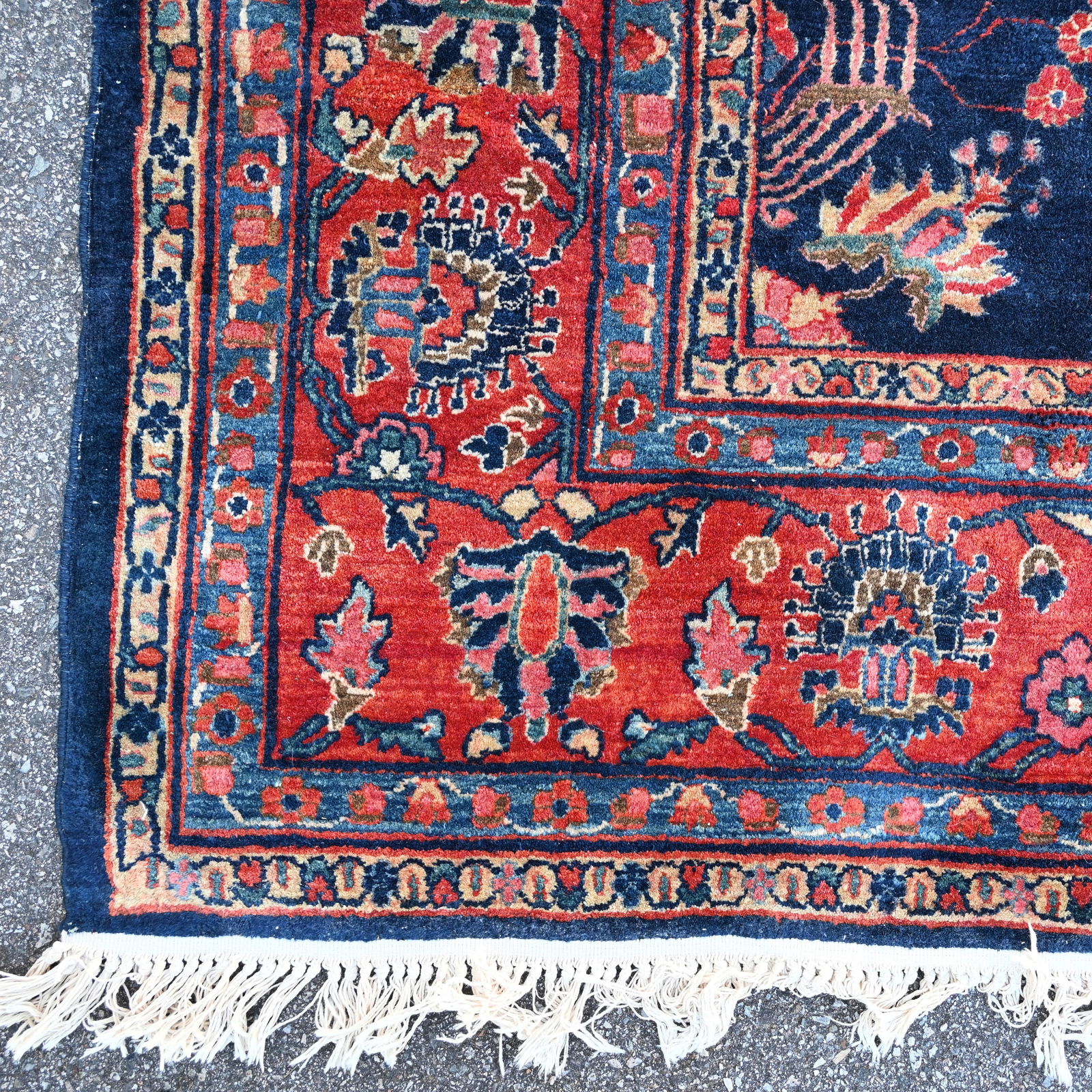 Sarouk Rug - 11