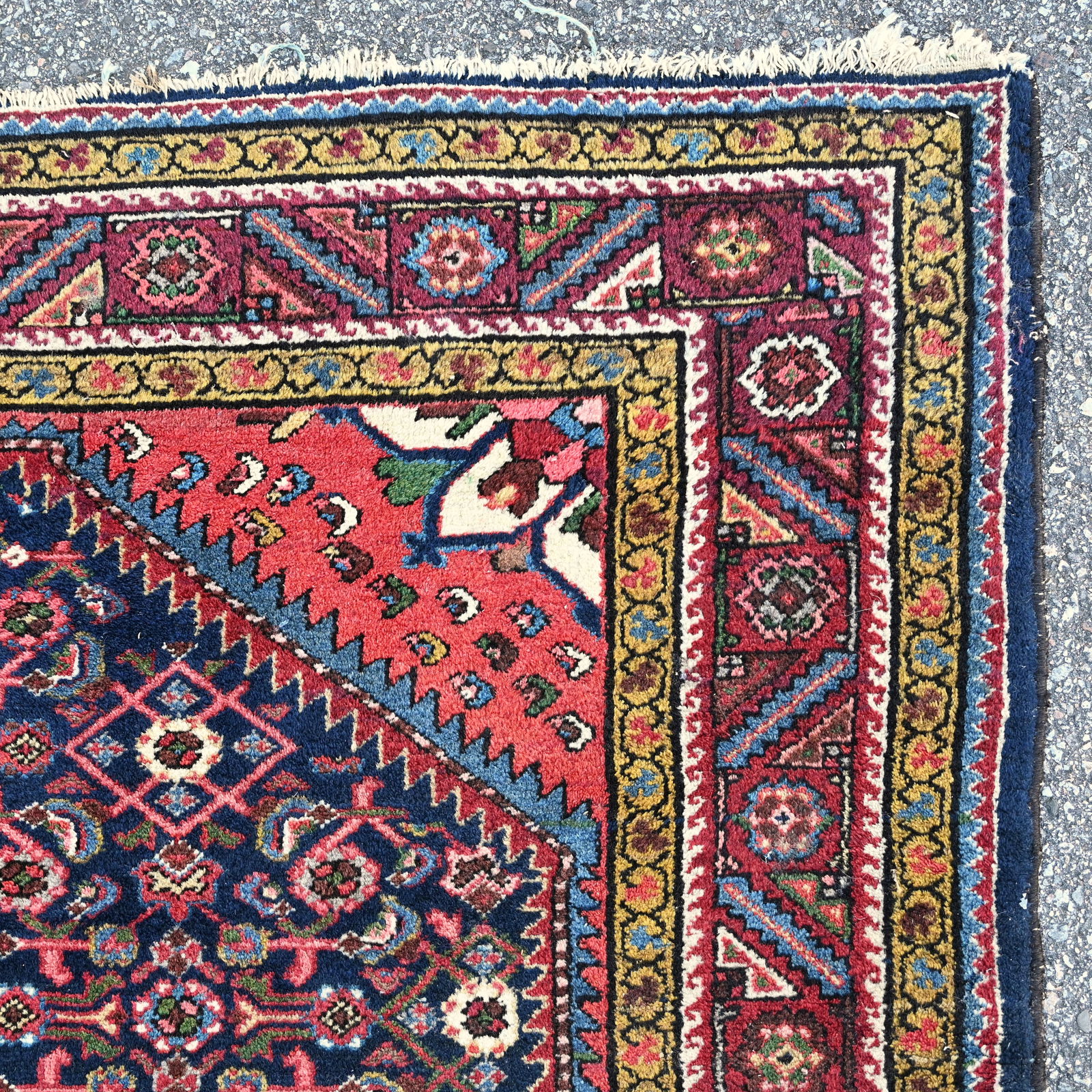 Hamadan Rug, Persia - 4