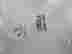 item-121042042=5