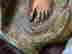 item-128874619=6
