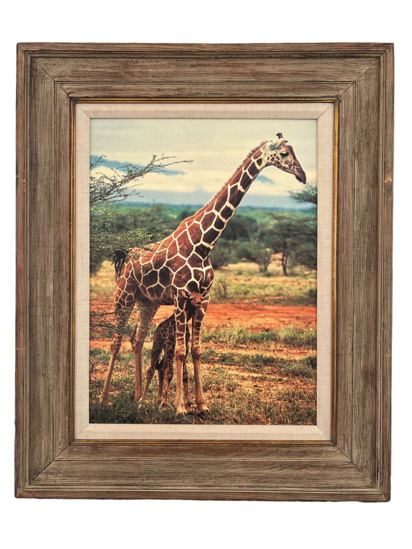 Giraffe and Baby Canvas Art Print (1 of 2)