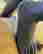 item-129934979=3