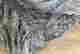 item-130711273=5