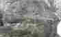 item-130730888=3