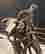 item-130937763=2