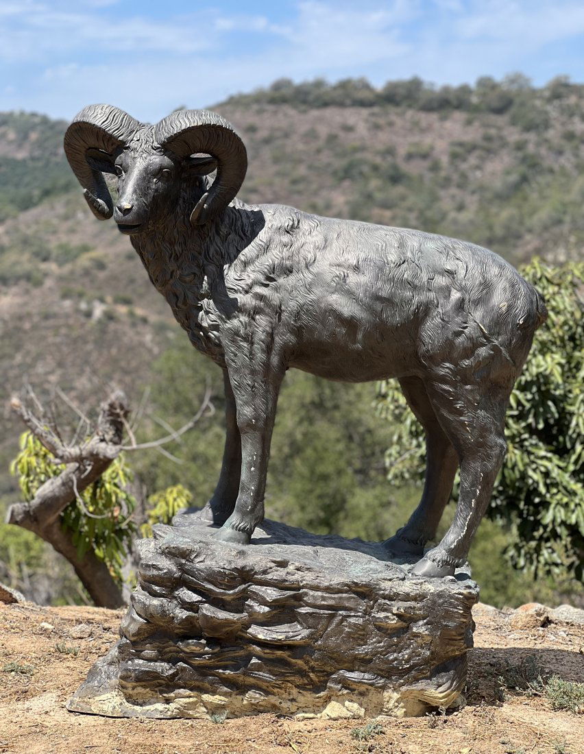 Monumental Life Size Bronze Bighorn sheep (1 of 4)