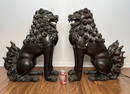 Pair of Large Bronze Foo Dogs Sculptures