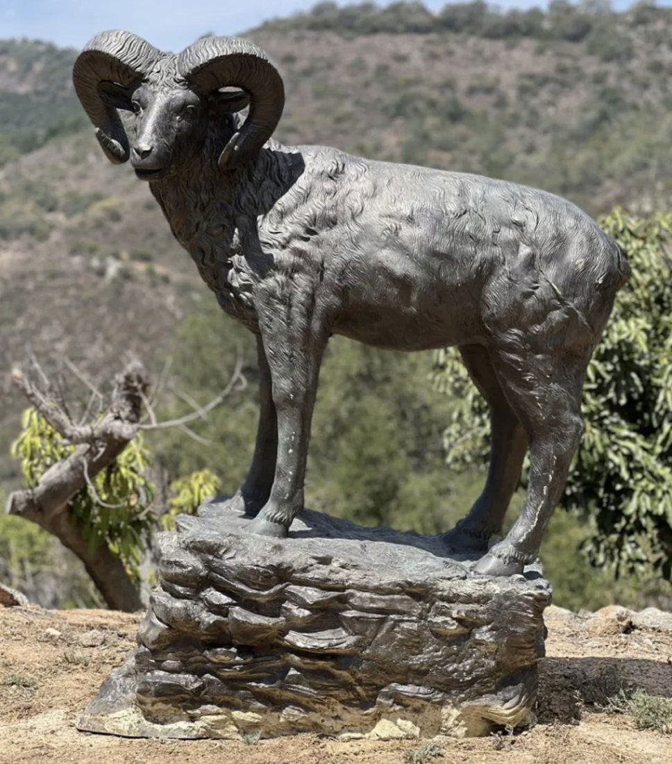 Monumental Life Size Bronze Bighorn sheep (1 of 3)