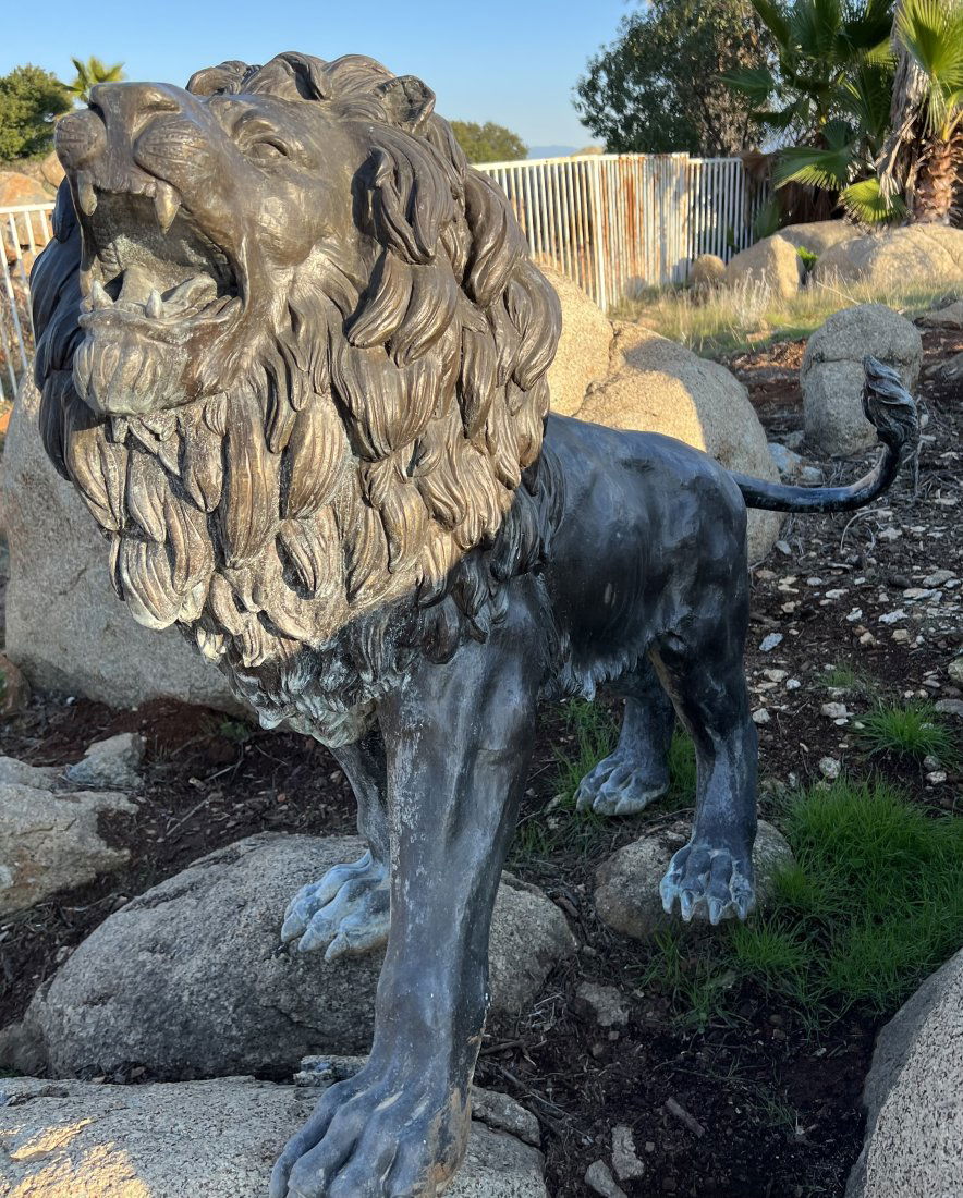 Life Size Bronze Lion Sculpture (1 of 4)