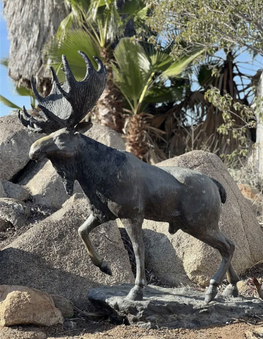 Life Size Moose Bronze Sculpture (1 of 4)