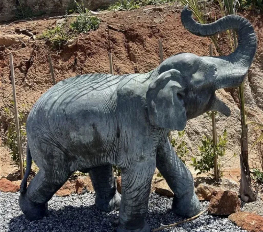 Life Size Baby Elephant bronze sculpture (1 of 3)