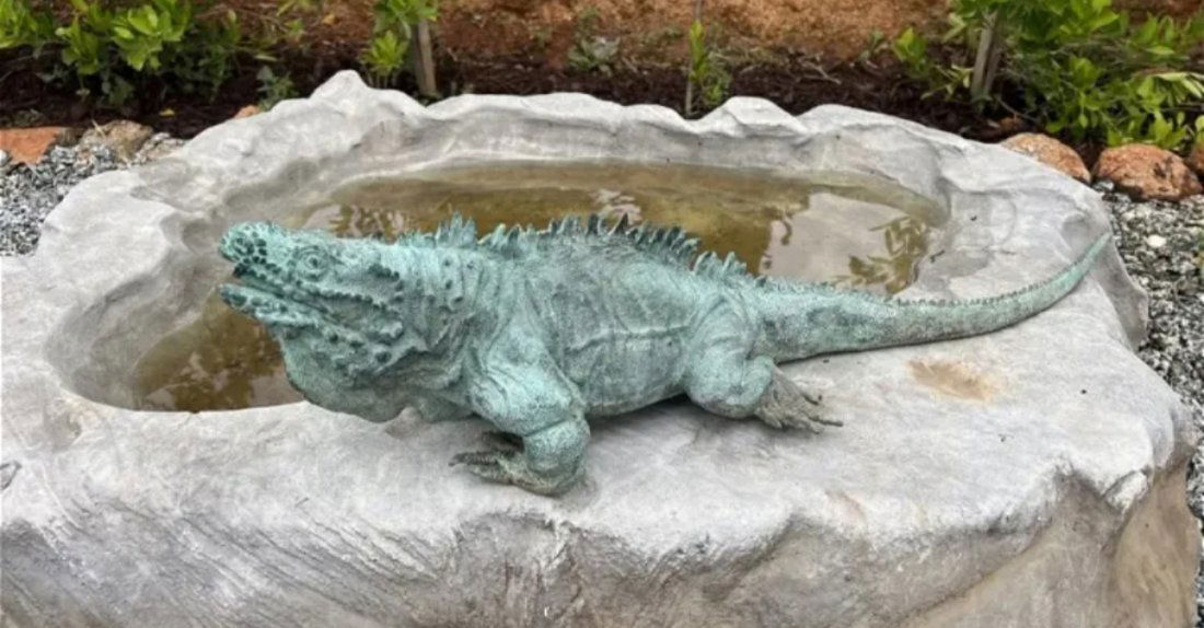 Iguana Bronze Sculpture Fountain (1 of 3)